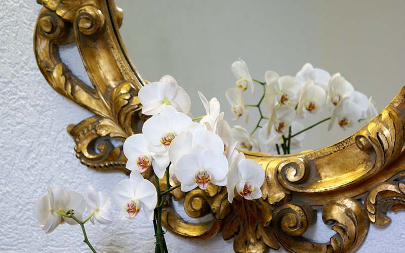 Hochzeitslocation im Naturresort Hotel Tannenhof 